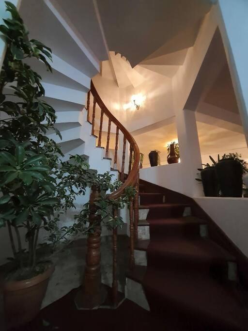 Ghost Villa Pokhara With Mountain View 20Mins From Main Area Ranipauwa Exterior foto