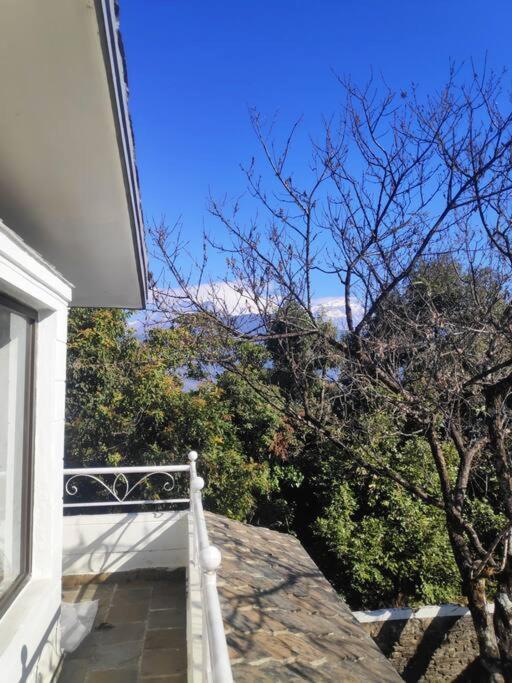 Ghost Villa Pokhara With Mountain View 20Mins From Main Area Ranipauwa Exterior foto