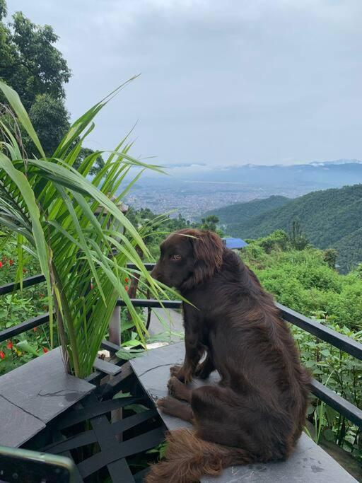 Ghost Villa Pokhara With Mountain View 20Mins From Main Area Ranipauwa Exterior foto